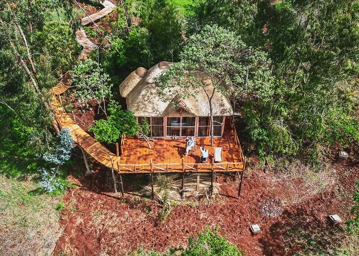 Foresight Eco Lodge & Safari