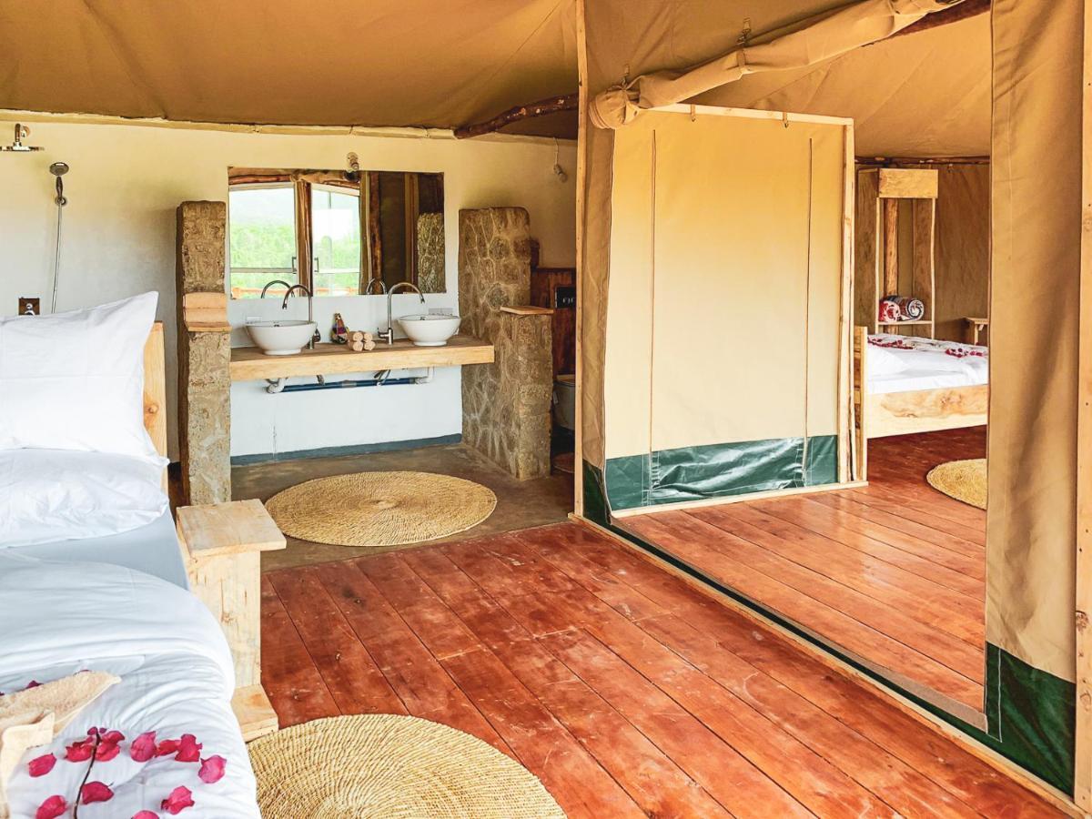 Foresight Eco & Safari *