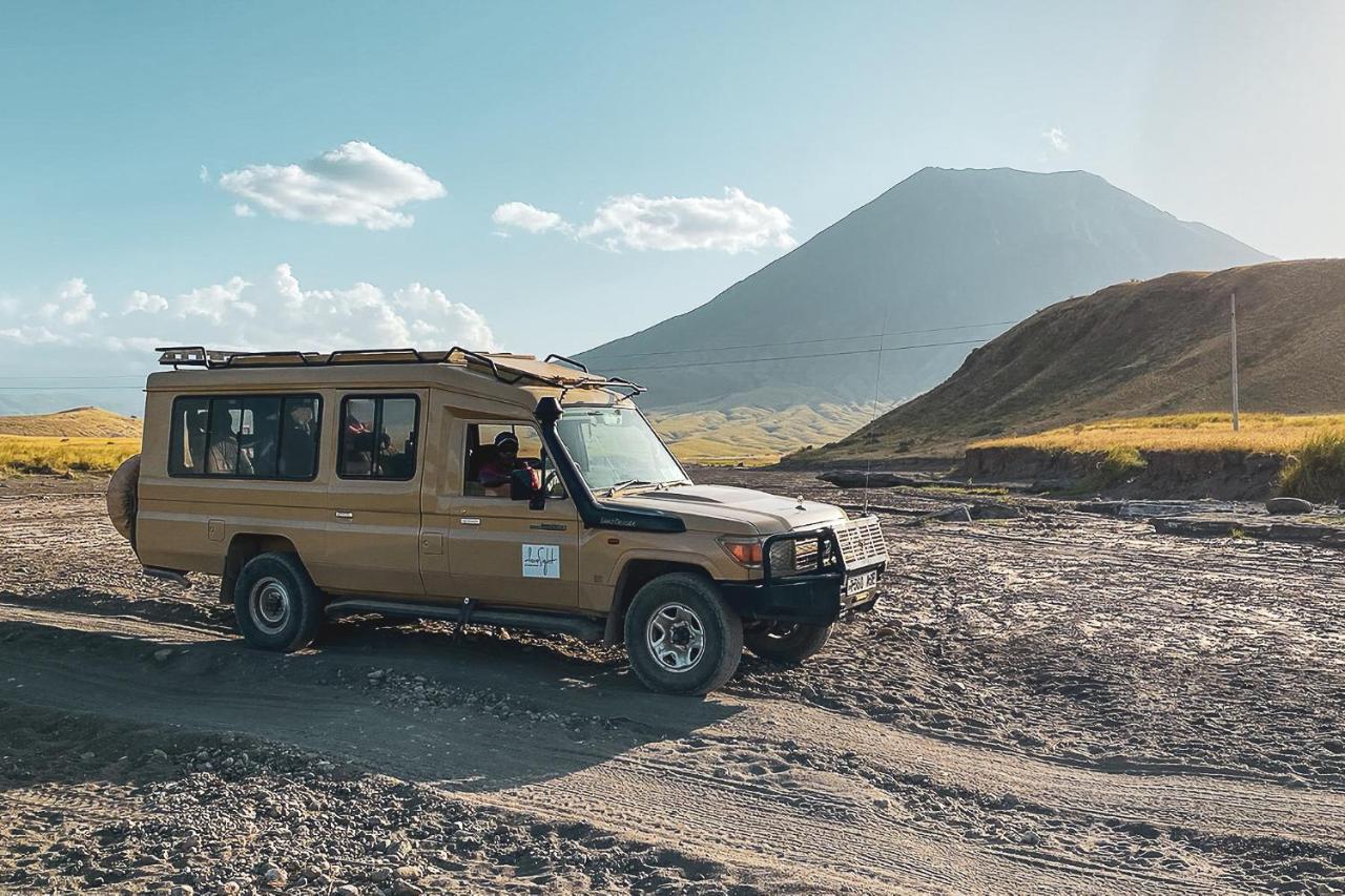 Foresight Eco & Safari