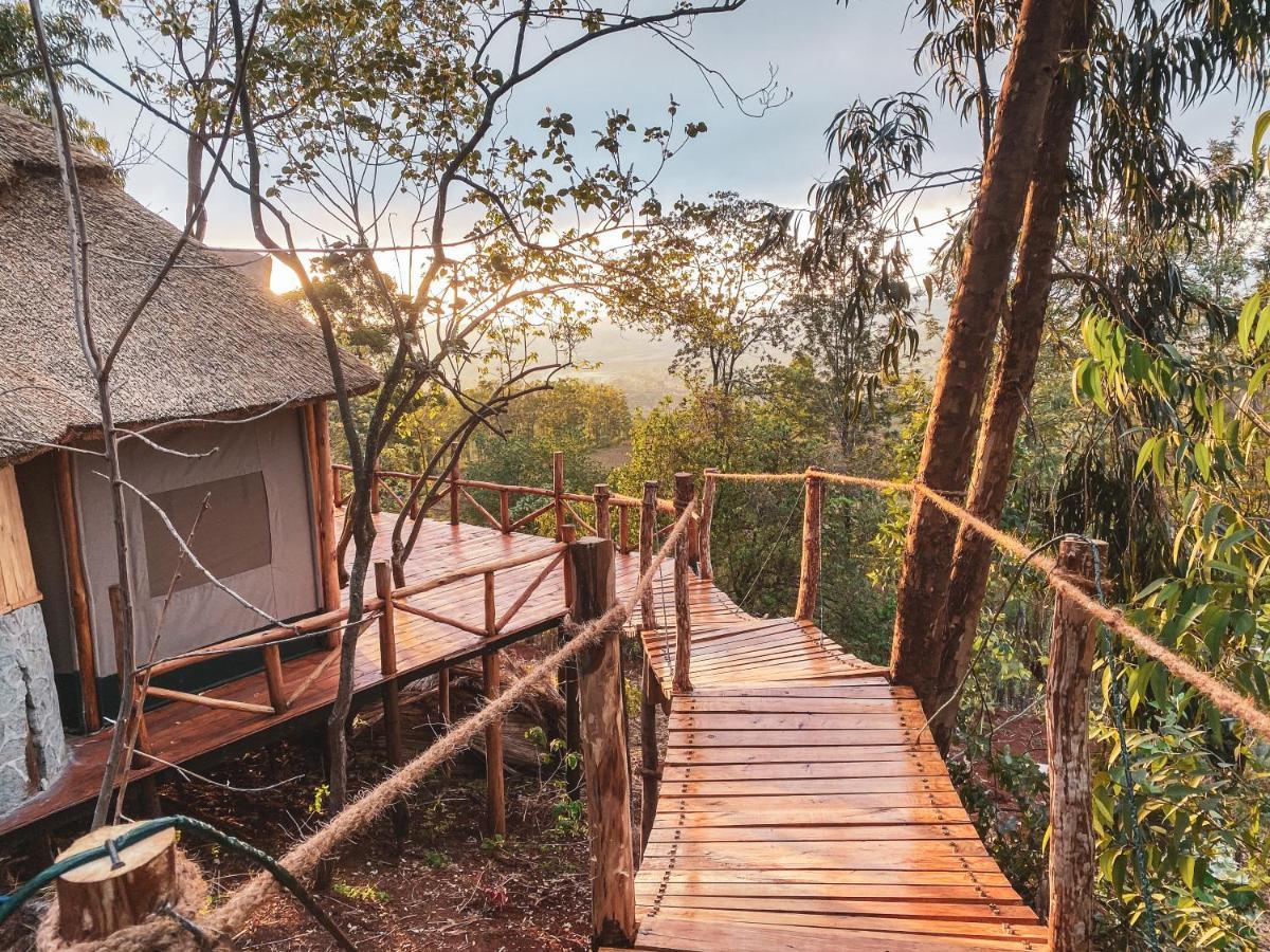 Foresight Eco & Safari