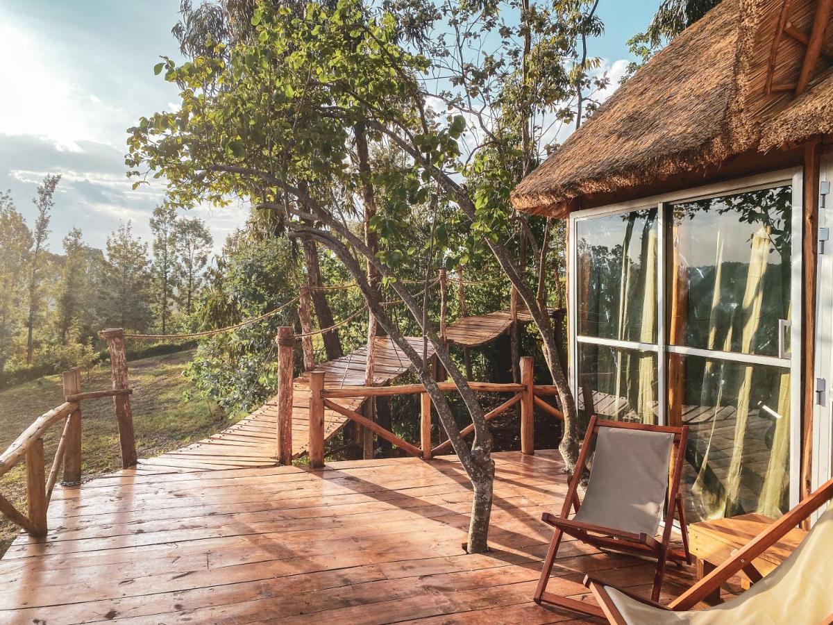 Foresight Eco & Safari